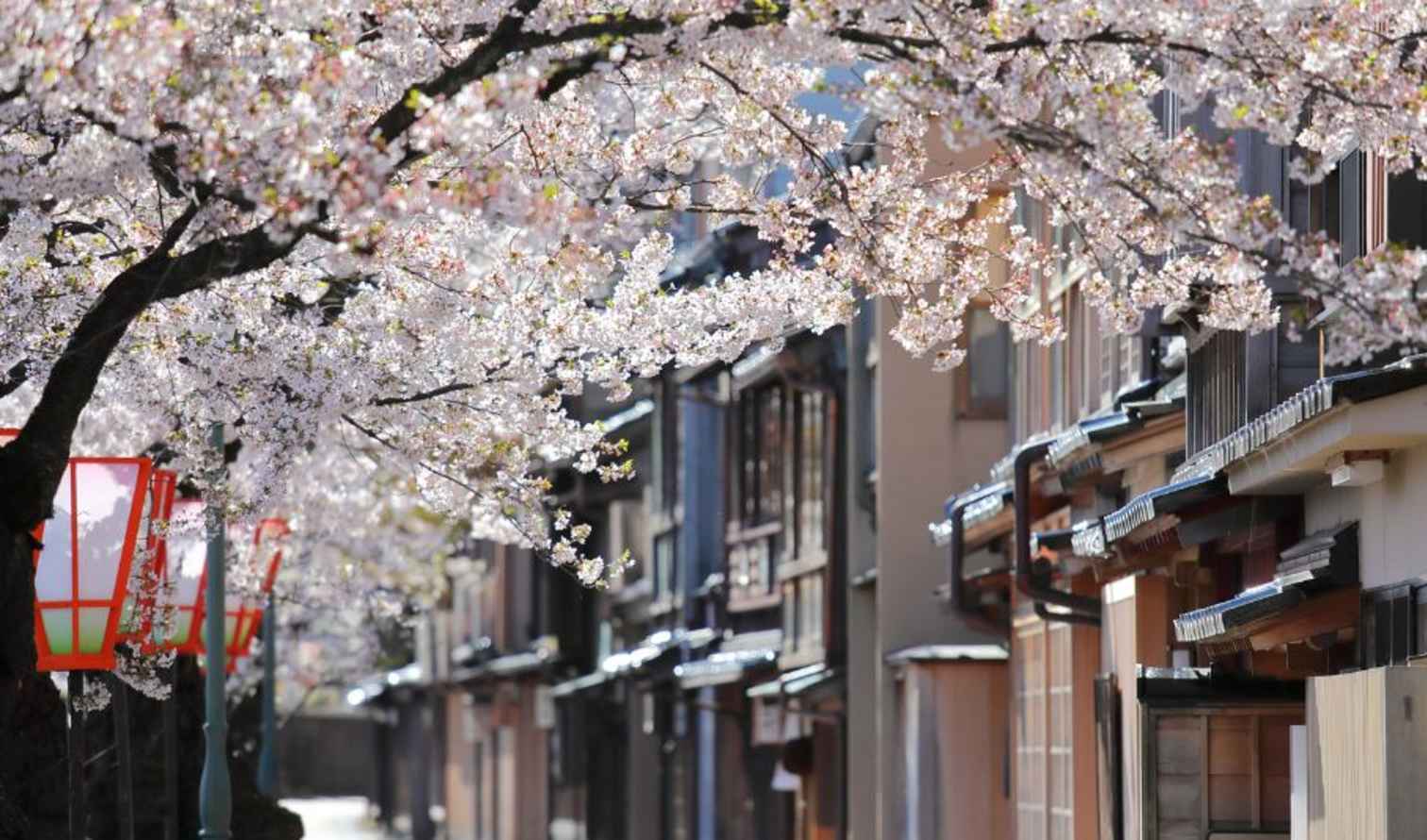 Big Ben to Tower Bridge