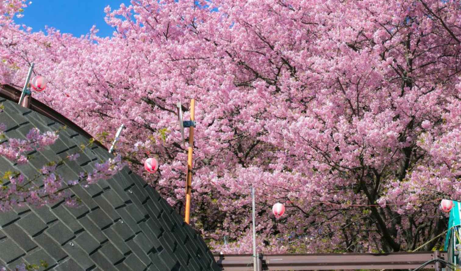 Big Ben to Tower Bridge