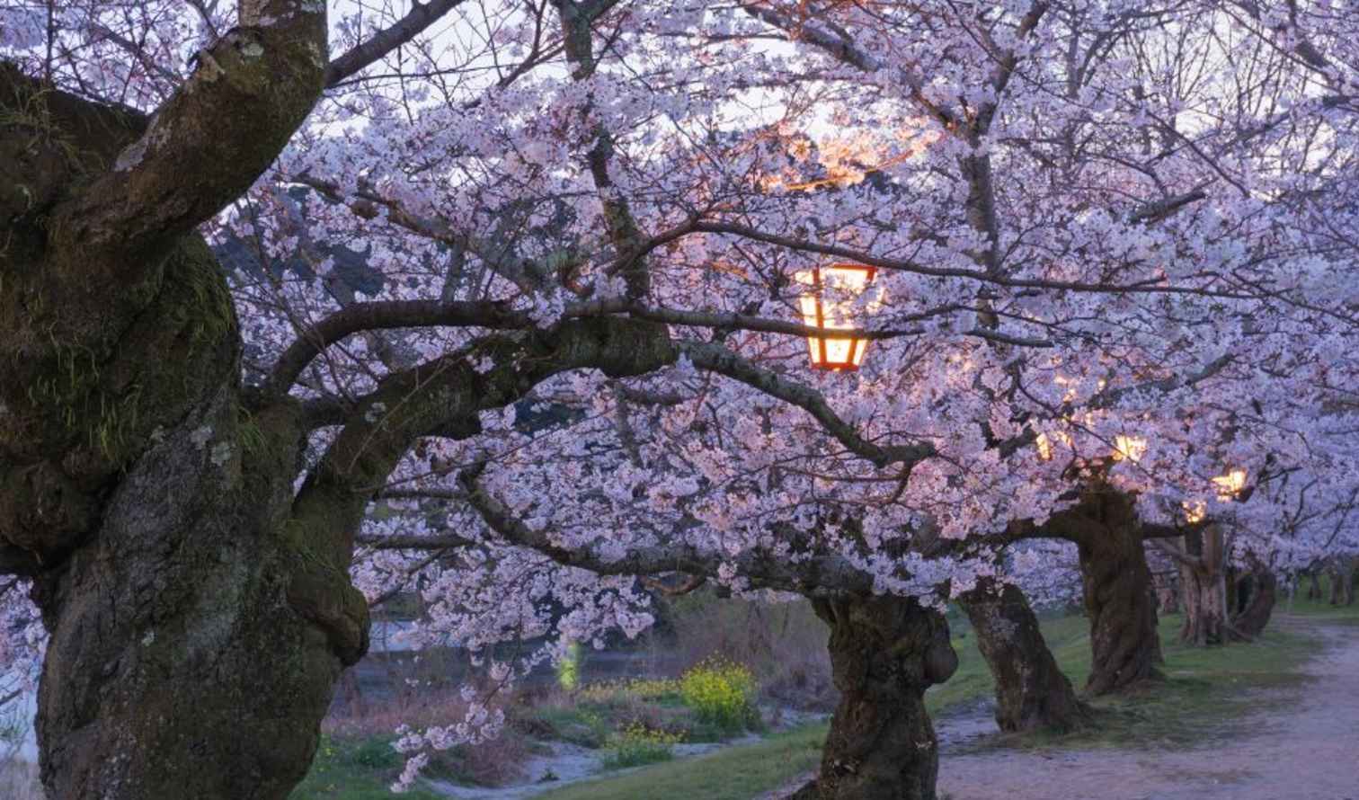 Big Ben to Tower Bridge