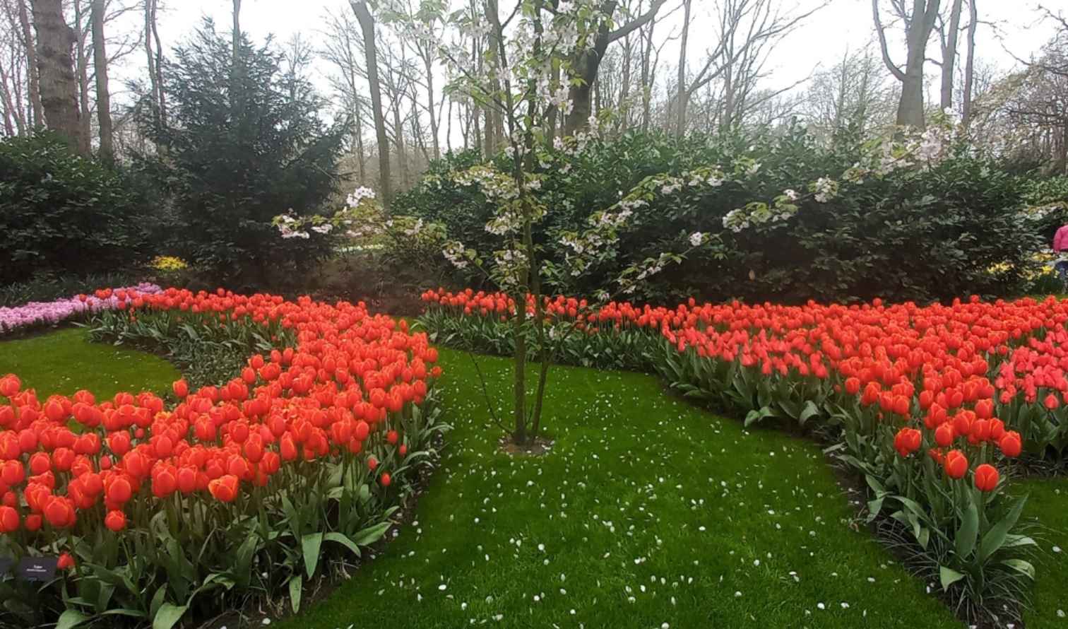 Big Ben to Tower Bridge