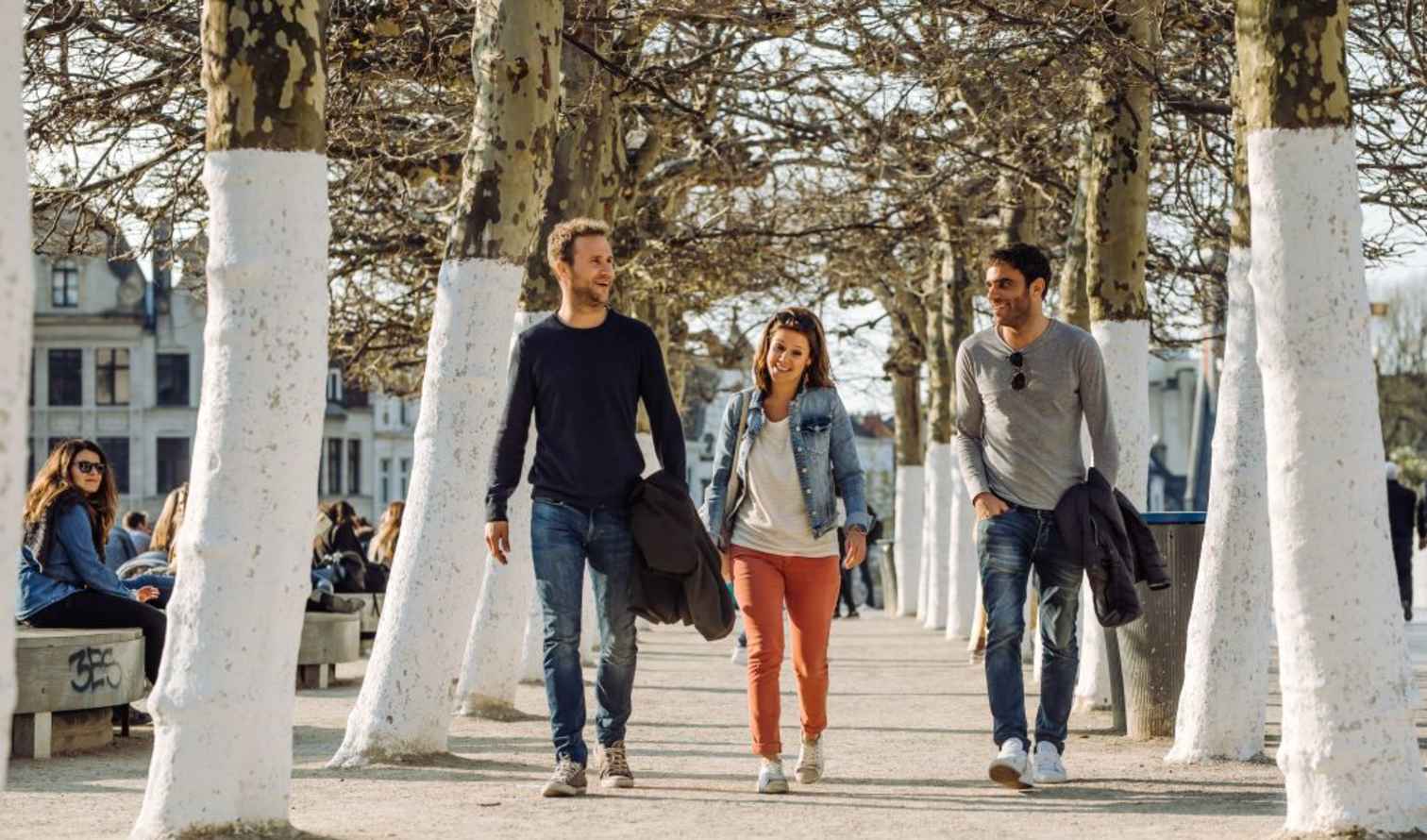 Three people walking along a tree-lined path with painted trunks in Brussels