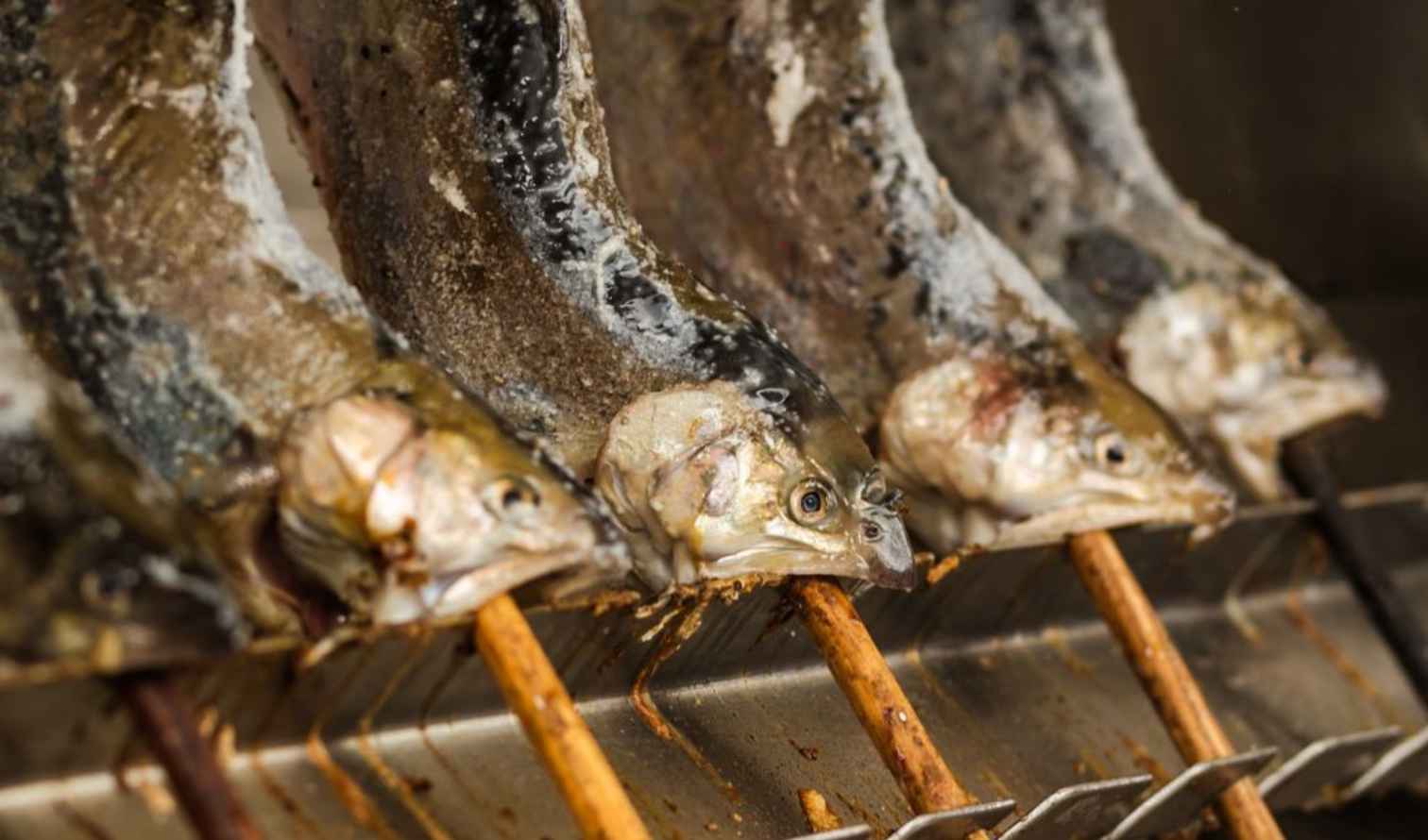 Several grilled fish on sticks over a barbecue in Munich