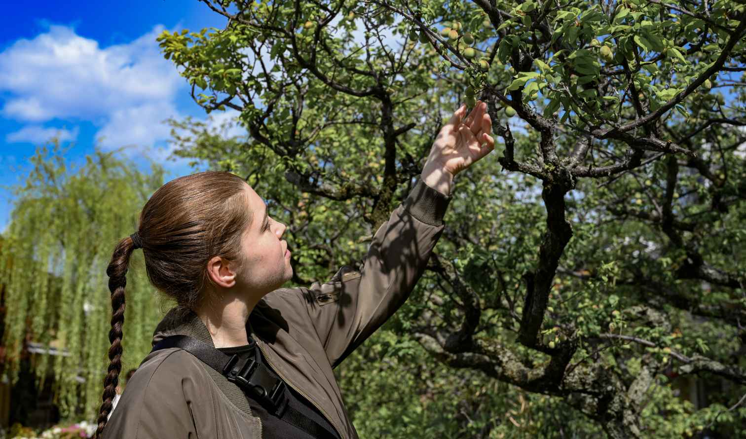 Person reaching for a branch in a garden setting in Kyoto