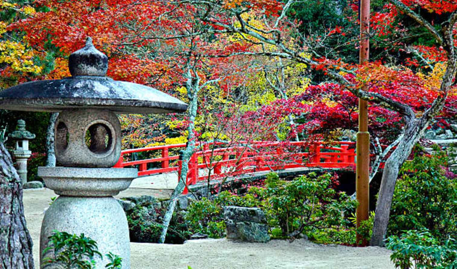 Stone lantern and red bridge in a Japanese garden during autumn in Miyajima