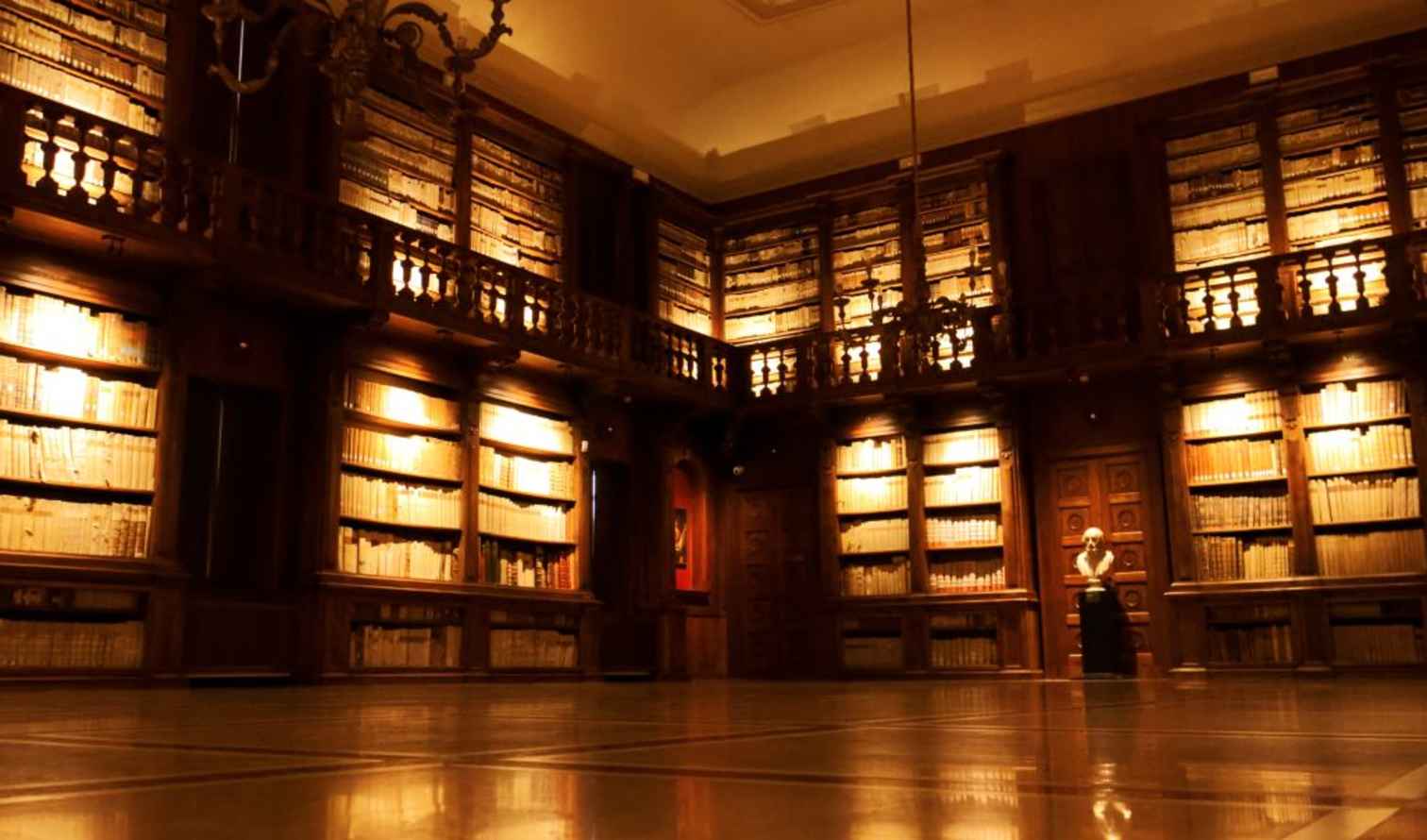 Ornate library interior with wooden bookshelves and a chandelier in Verona
