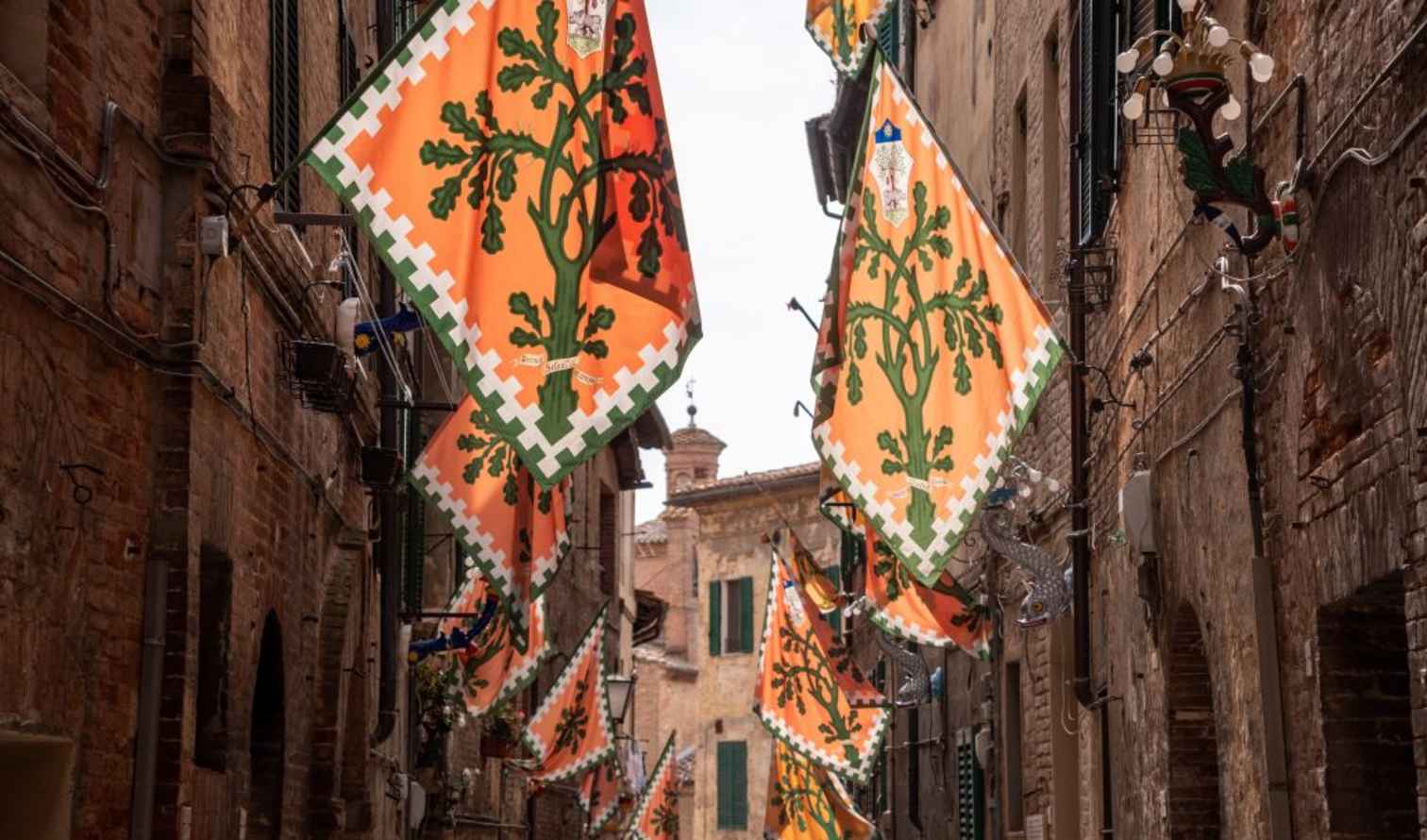 Orange flags with green tree emblem hanging in a narrow street in Siena, Italy.