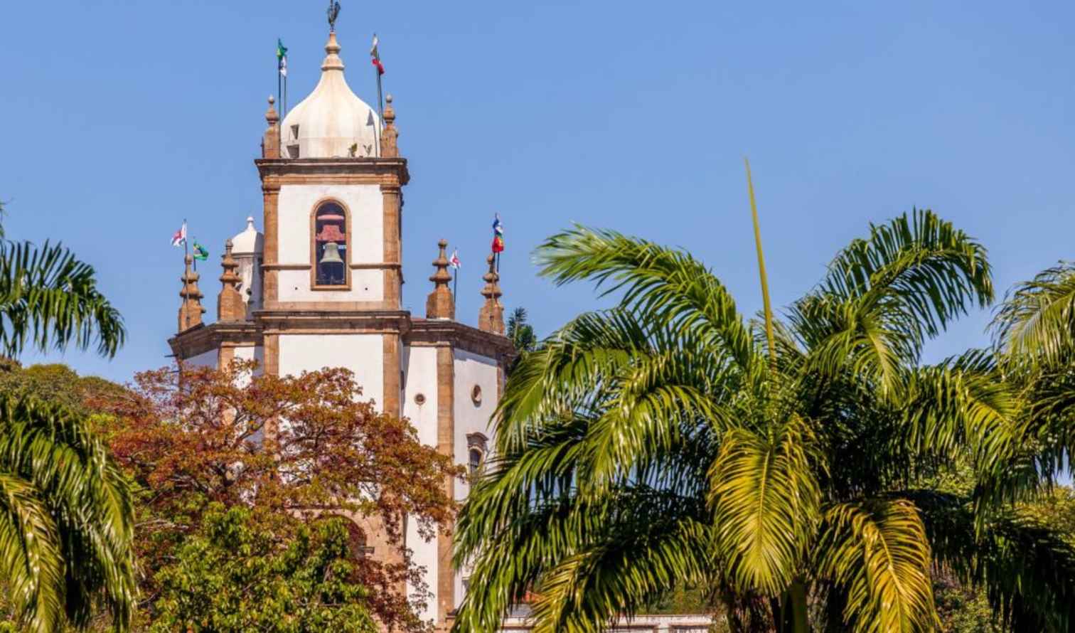 São Francisco de Assis Church steeple in São João del Rei visible above palm trees.