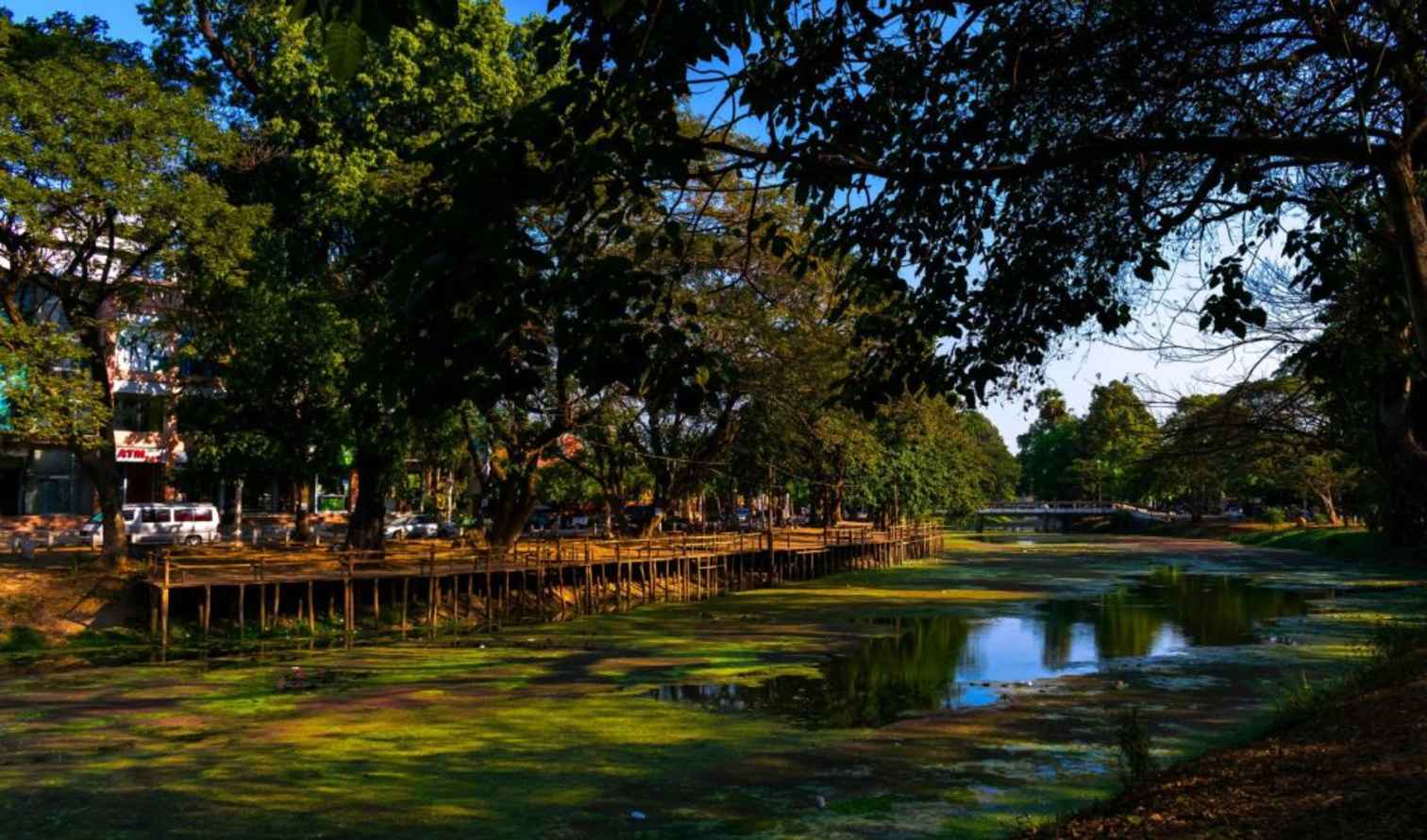 Trees and walkway beside a canal in a park in Siem Reap