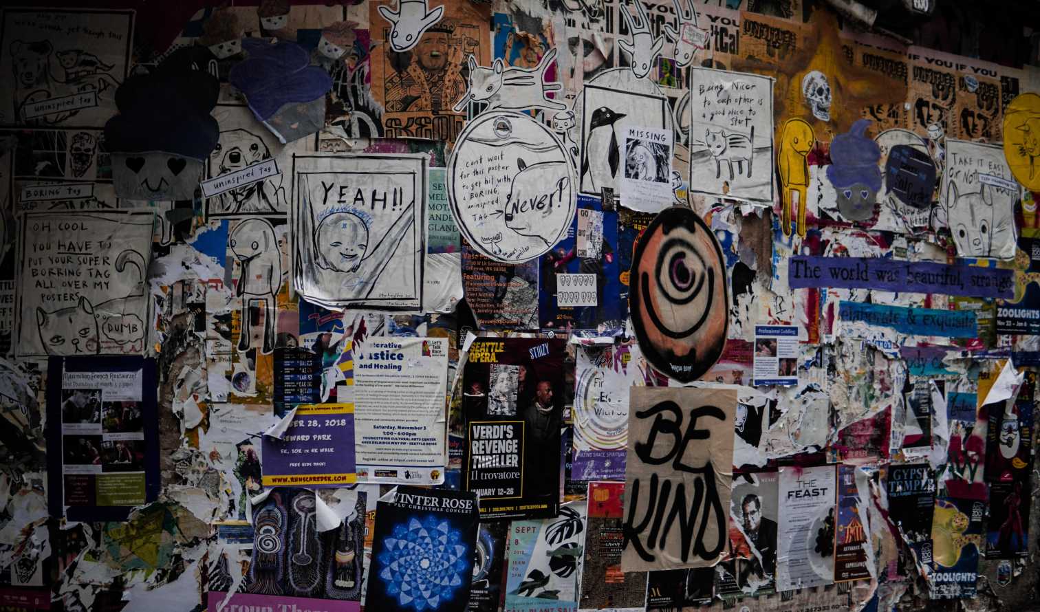 City Unscripted experience hero image 4