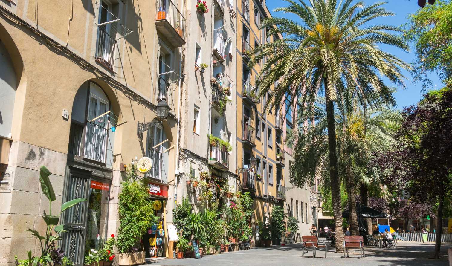 City Unscripted experience image 7