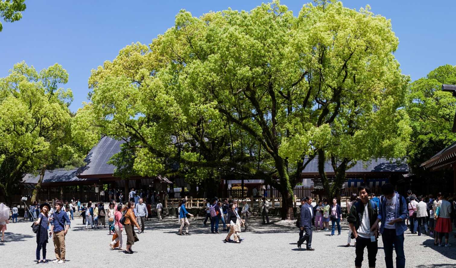 City Unscripted experience image 8