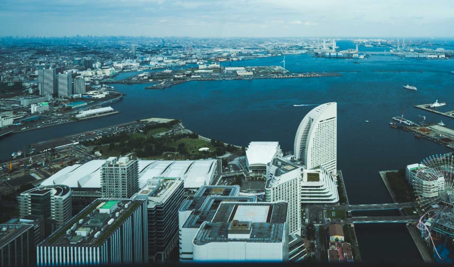 City Unscripted experience image 8