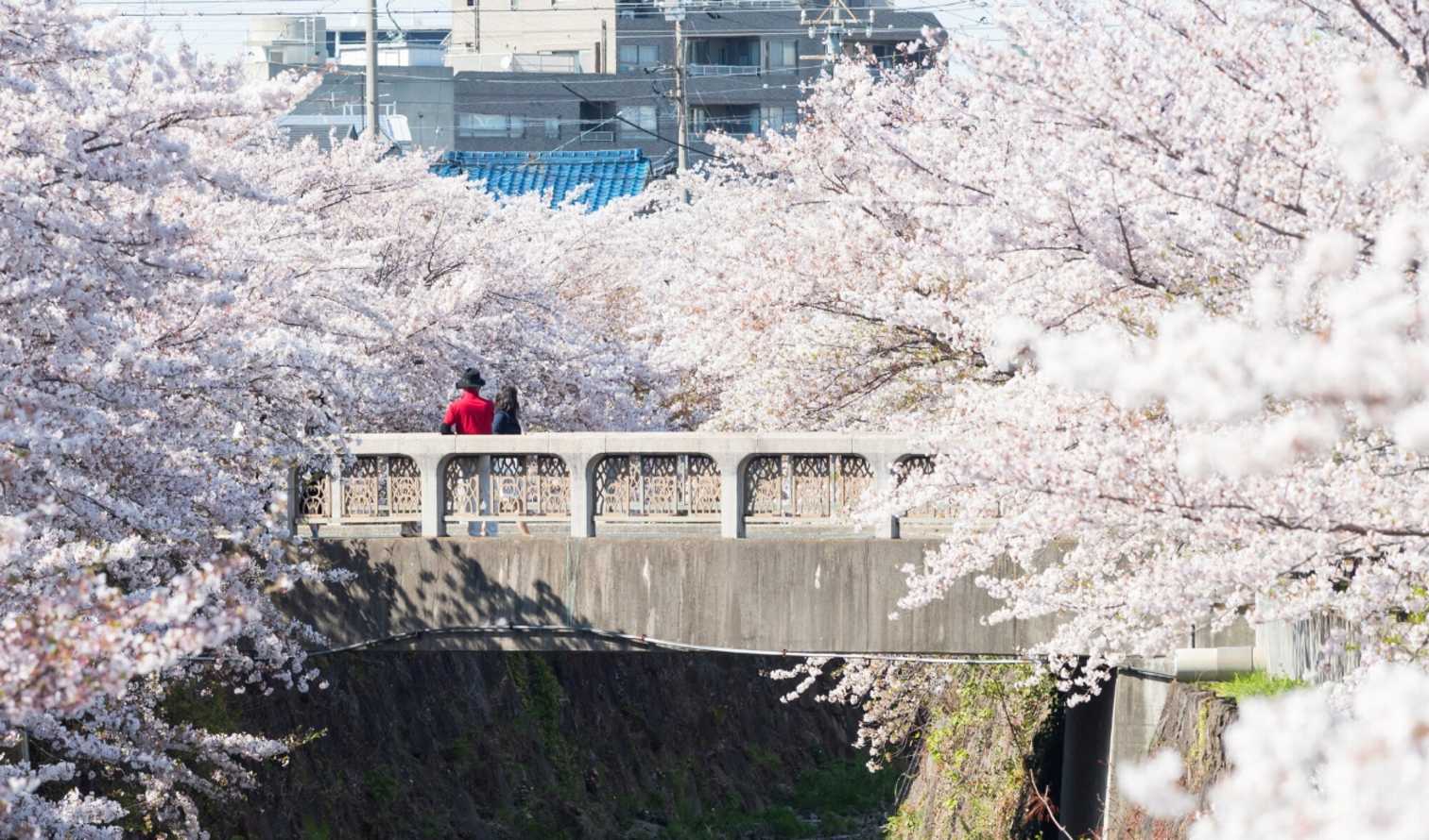 City Unscripted experience hero image 0