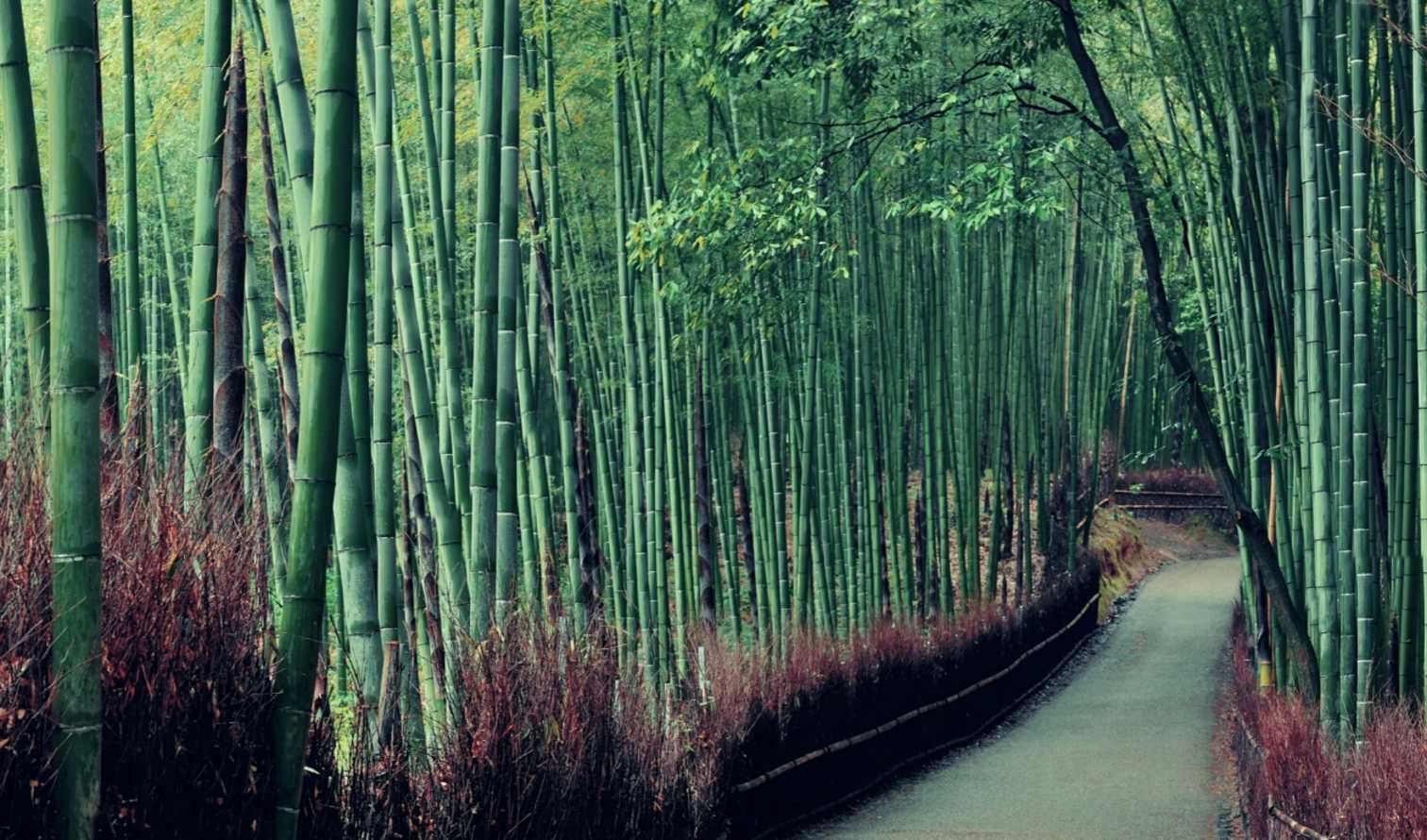 City Unscripted experience hero image 3