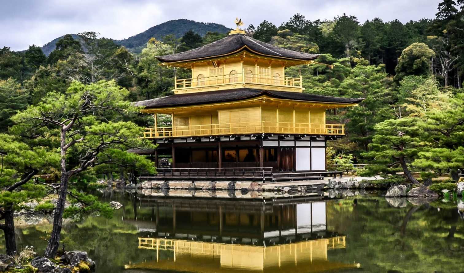 City Unscripted experience image 9