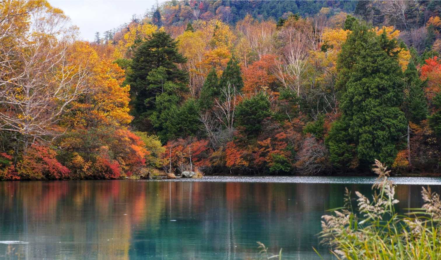 City Unscripted experience hero image 4