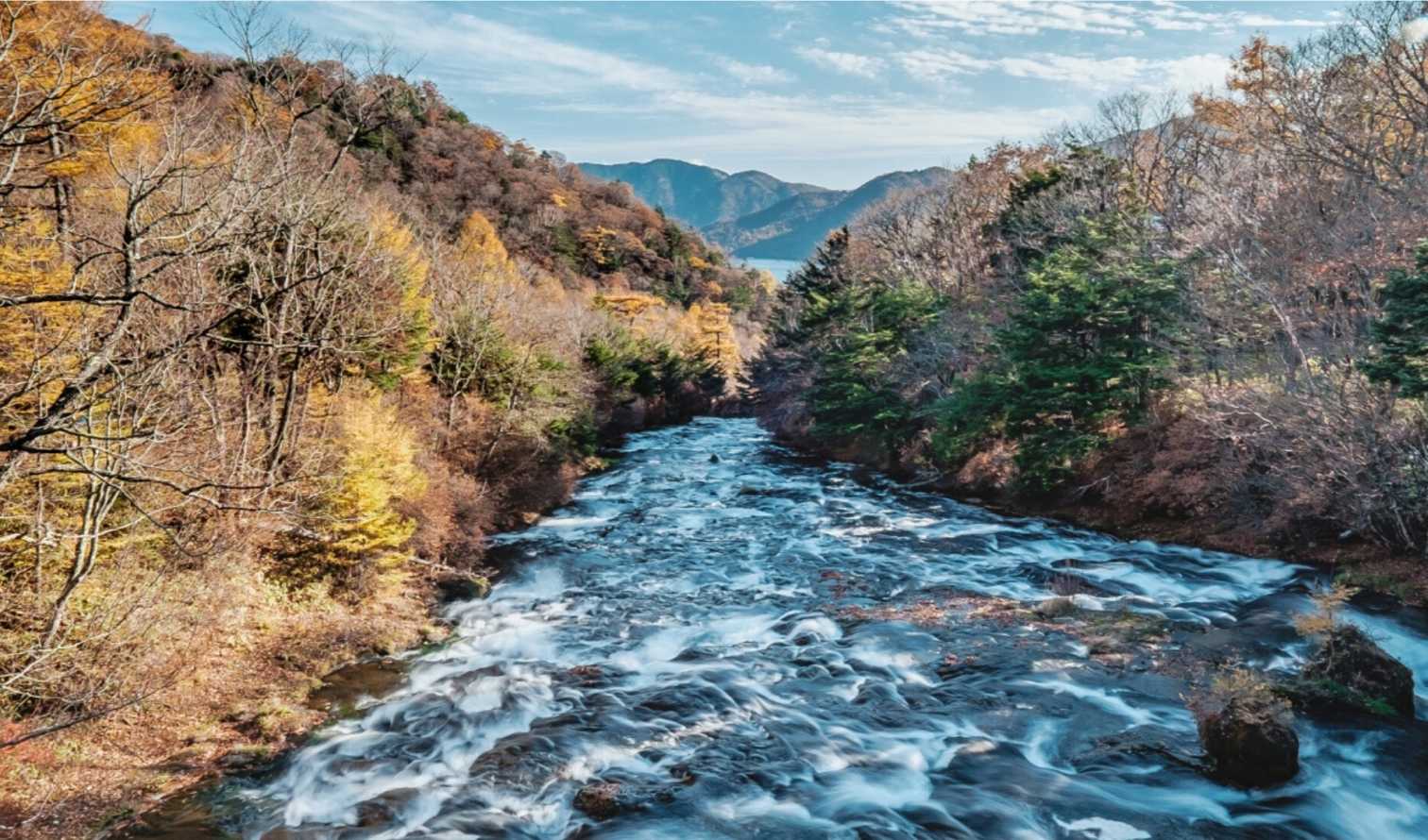 City Unscripted experience image 7