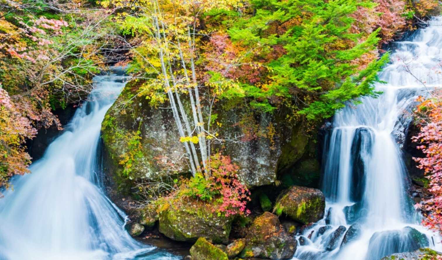 City Unscripted experience image 6