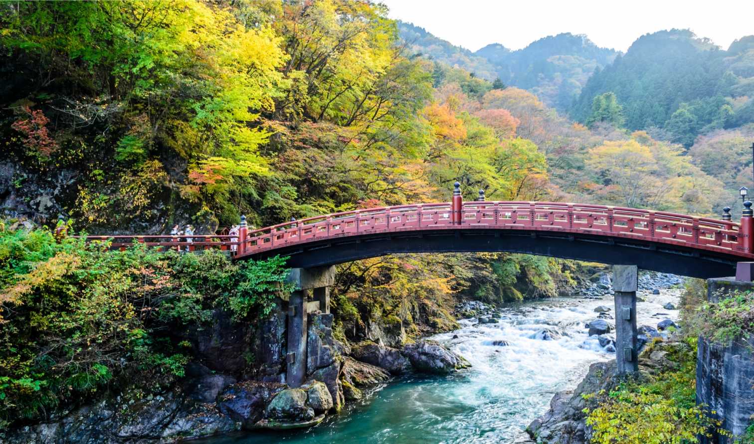 City Unscripted experience image 8