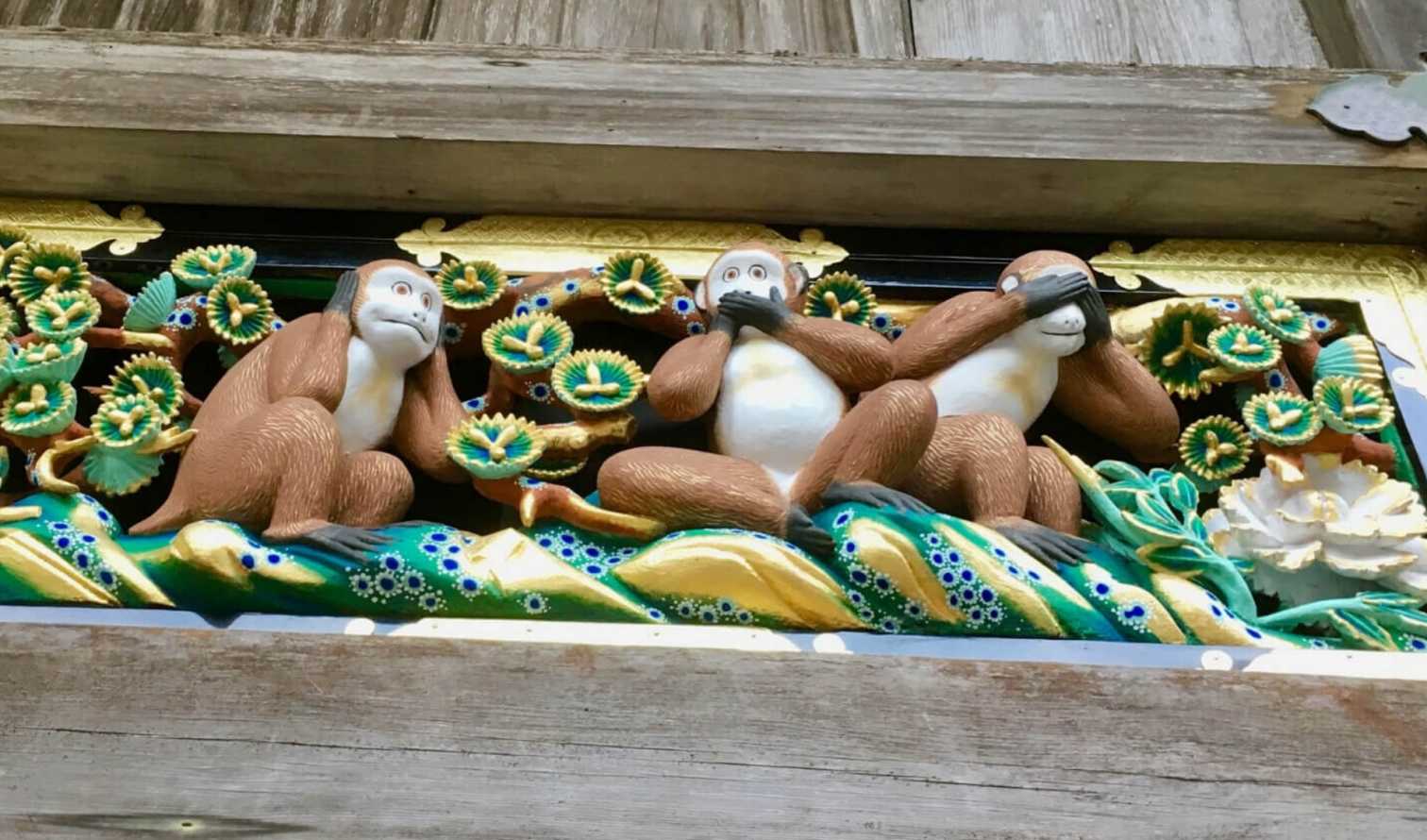 City Unscripted experience hero image 0