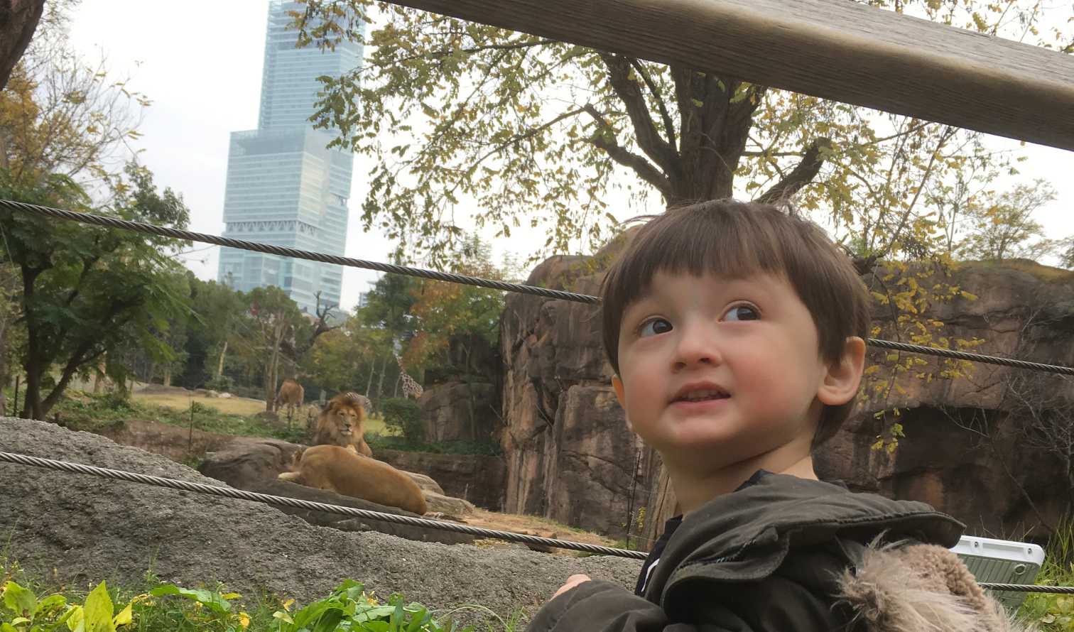 City Unscripted experience hero image 1