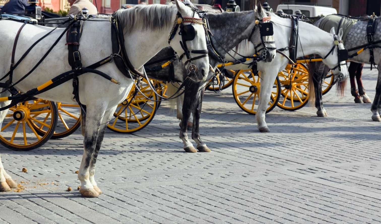 Big Ben to Tower Bridge