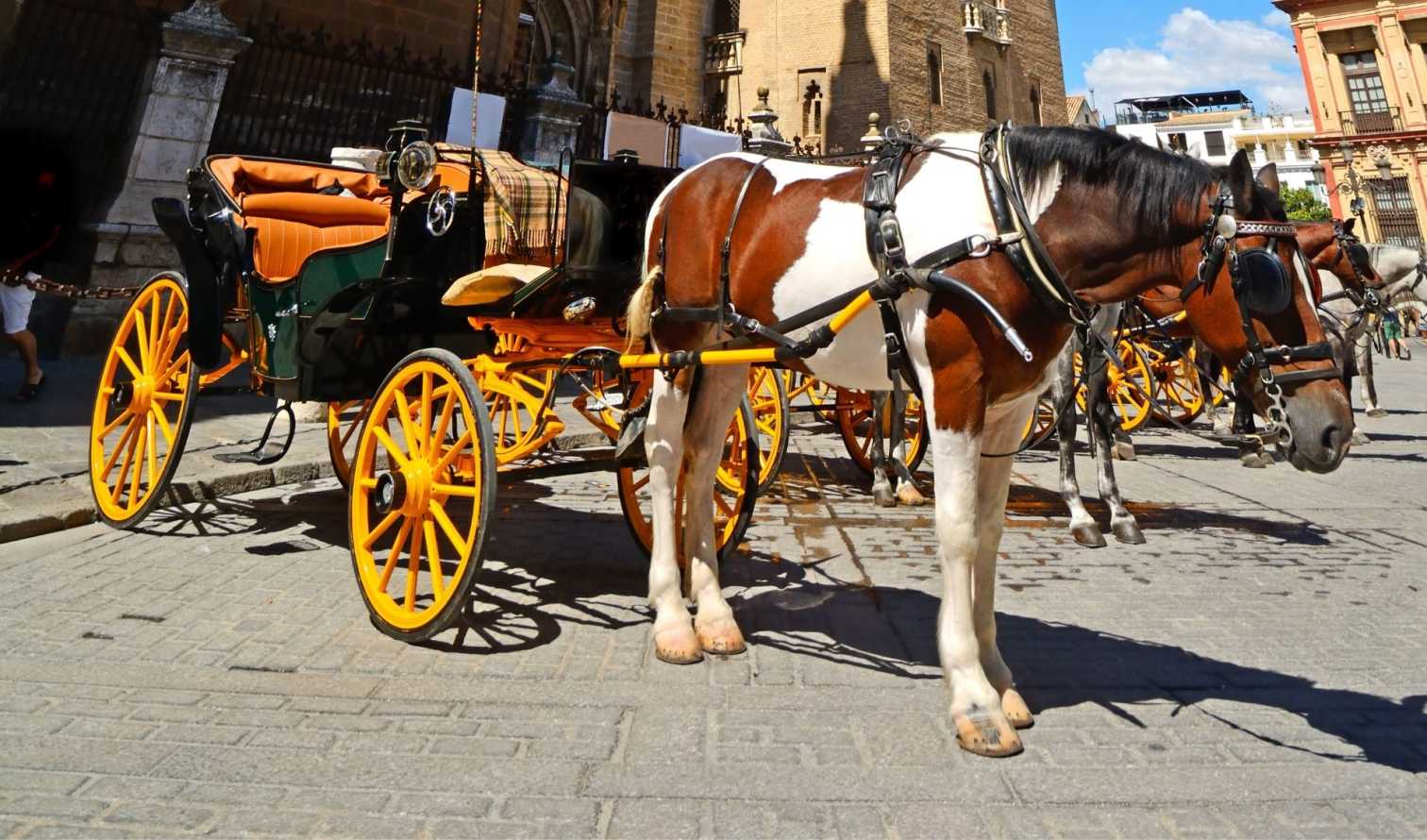 Big Ben to Tower Bridge