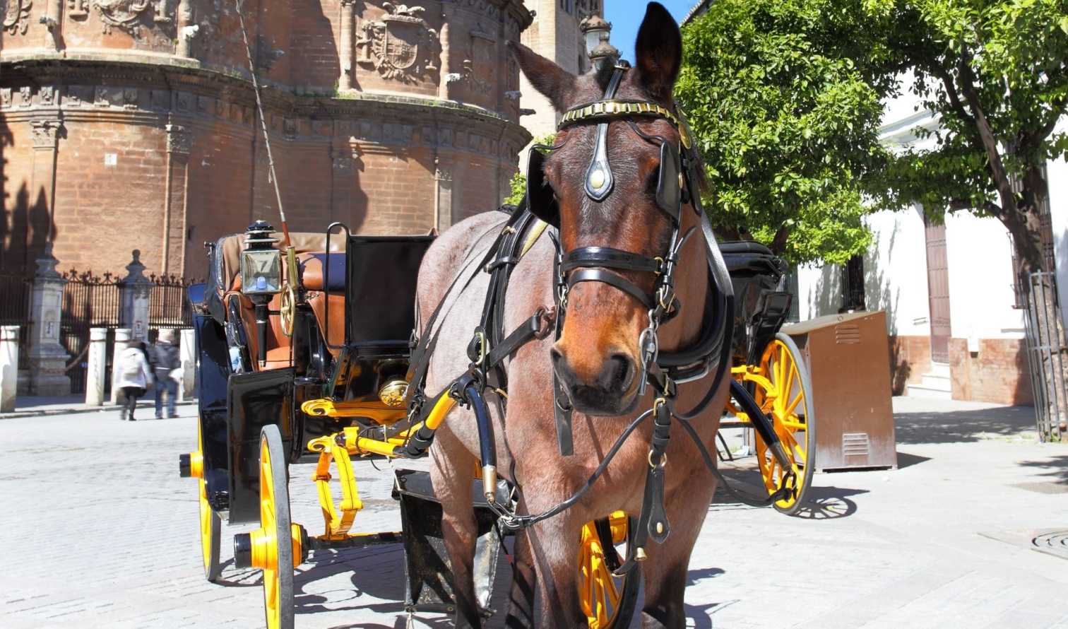 Big Ben to Tower Bridge