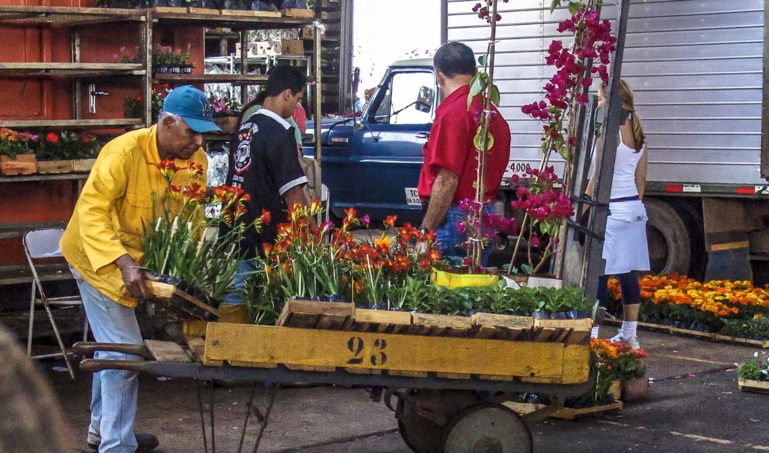 Big Ben to Tower Bridge
