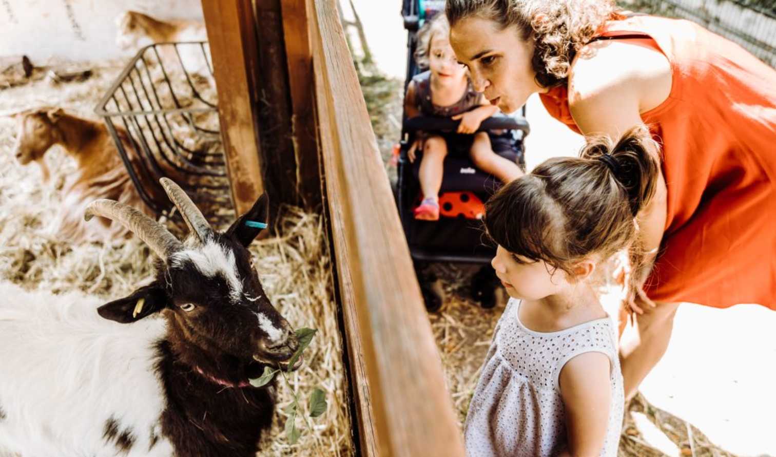 Big Ben to Tower Bridge