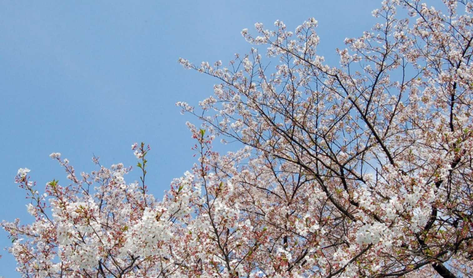 Big Ben to Tower Bridge