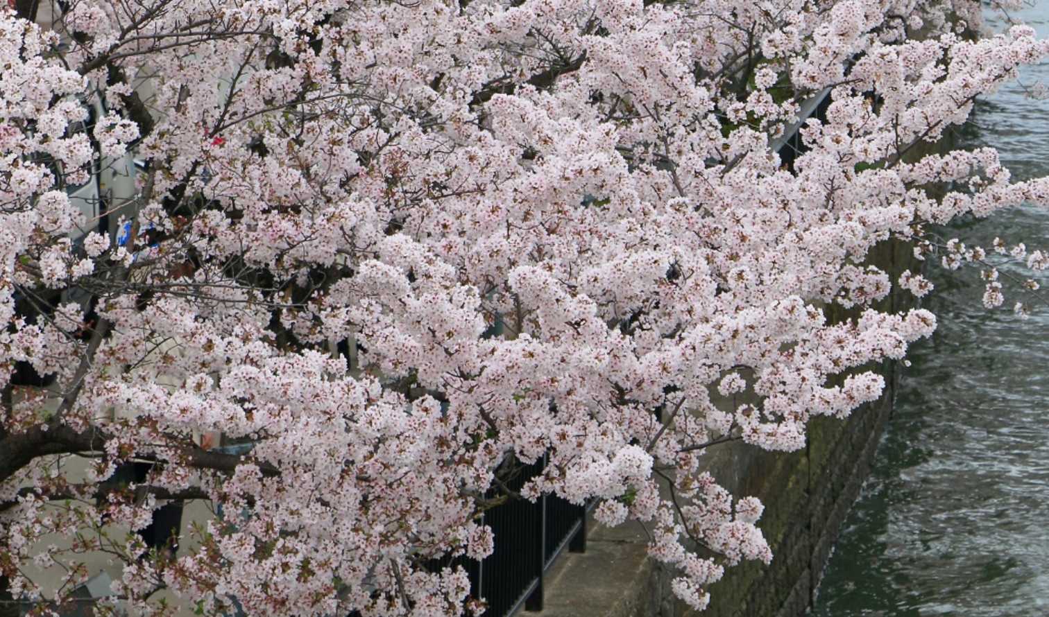 Big Ben to Tower Bridge