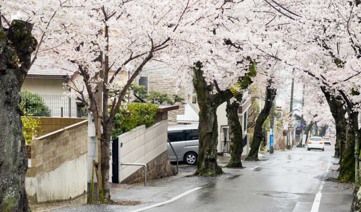 Big Ben to Tower Bridge