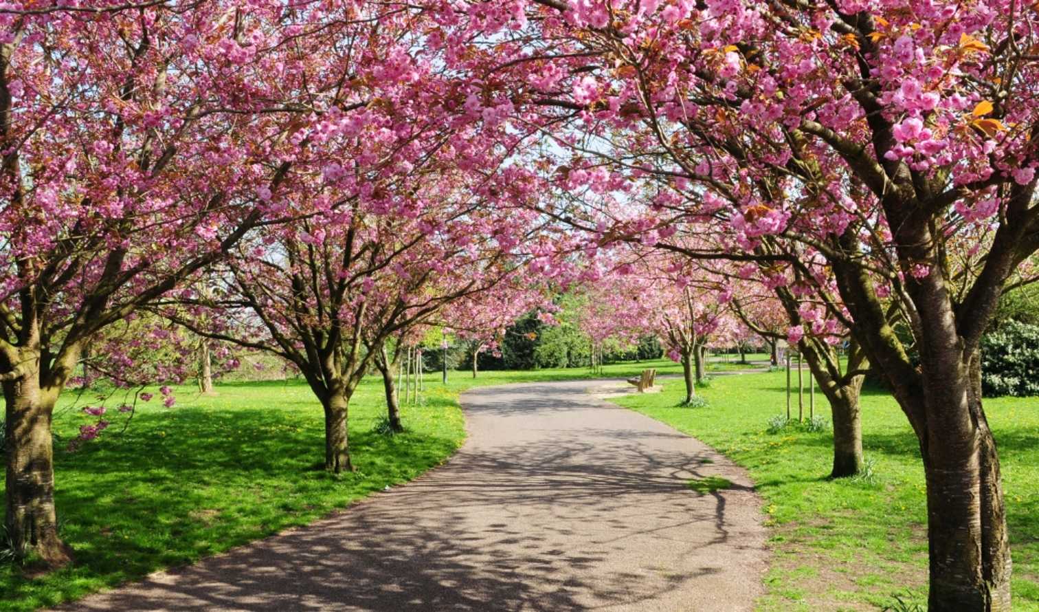 Big Ben to Tower Bridge