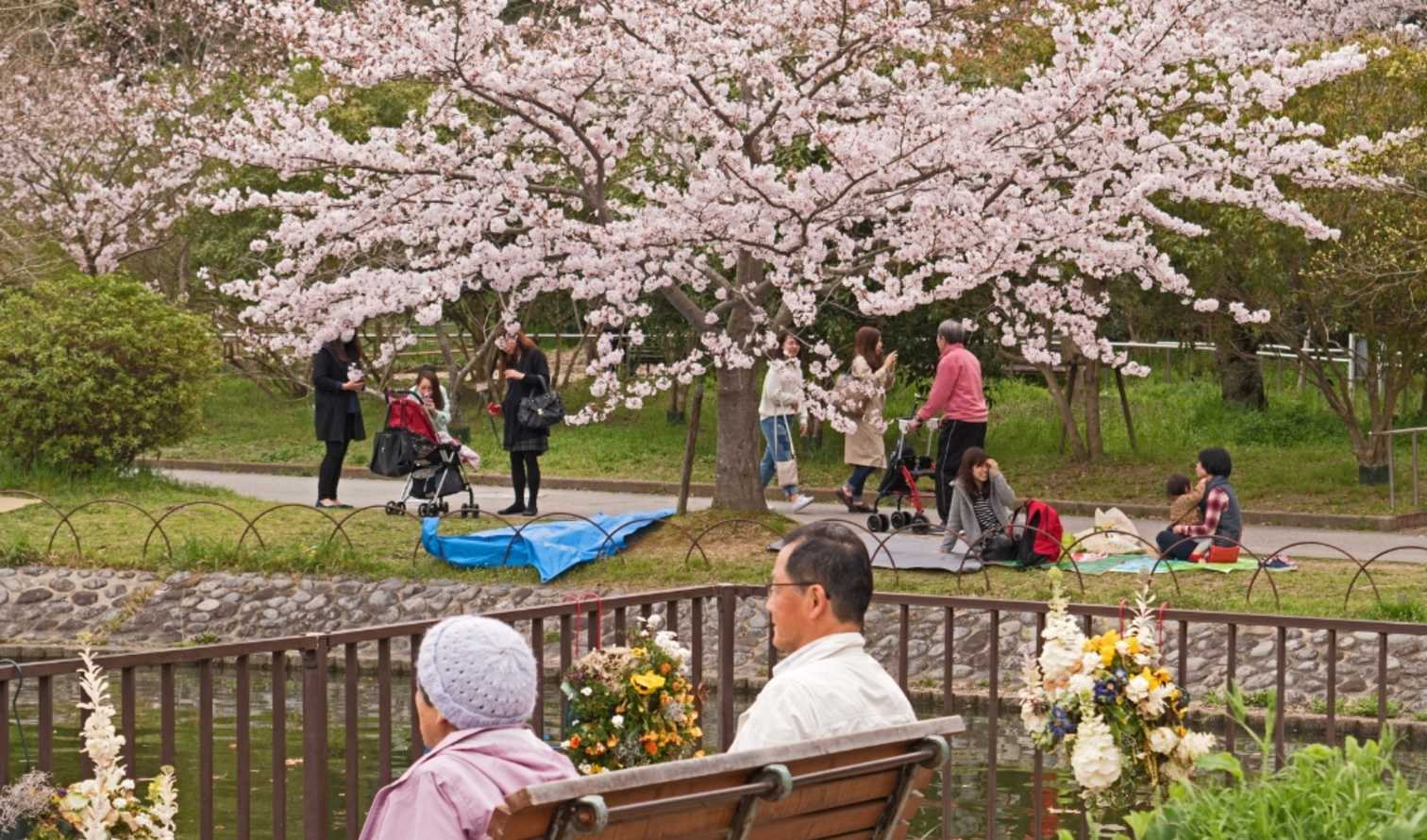 Big Ben to Tower Bridge