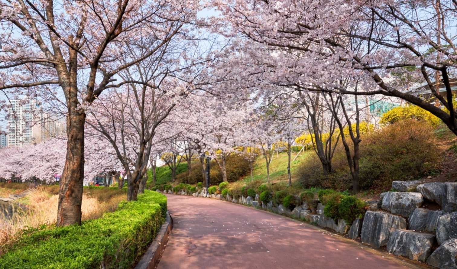 Big Ben to Tower Bridge