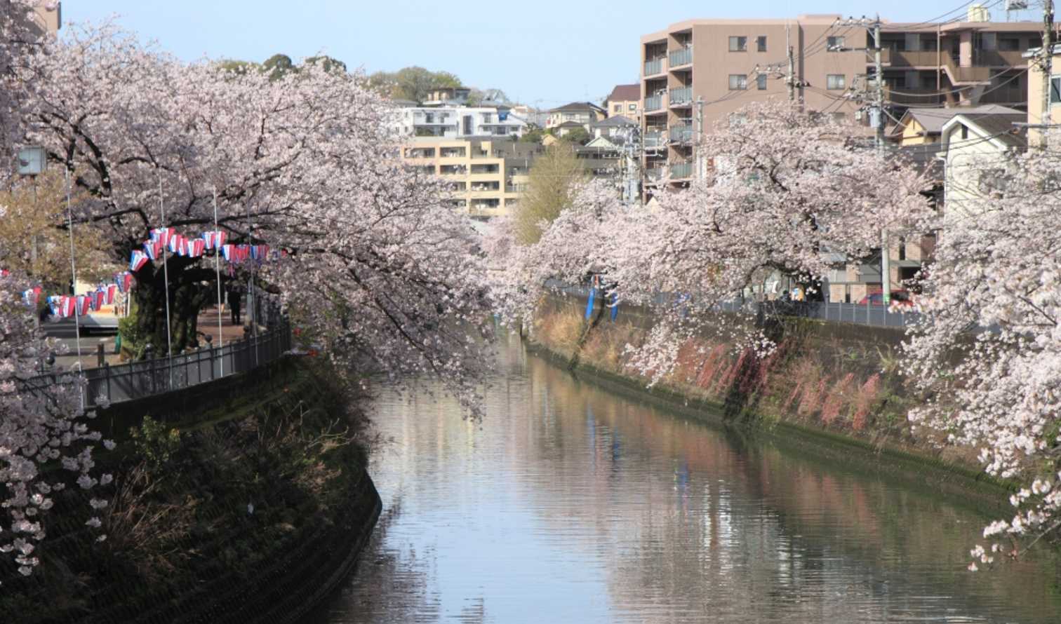 Big Ben to Tower Bridge