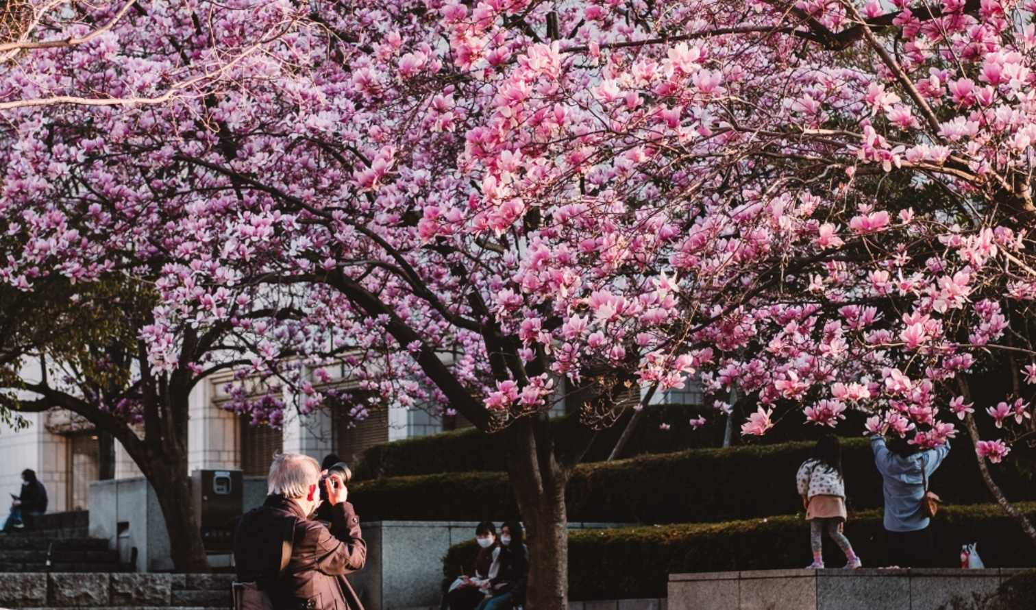 Big Ben to Tower Bridge