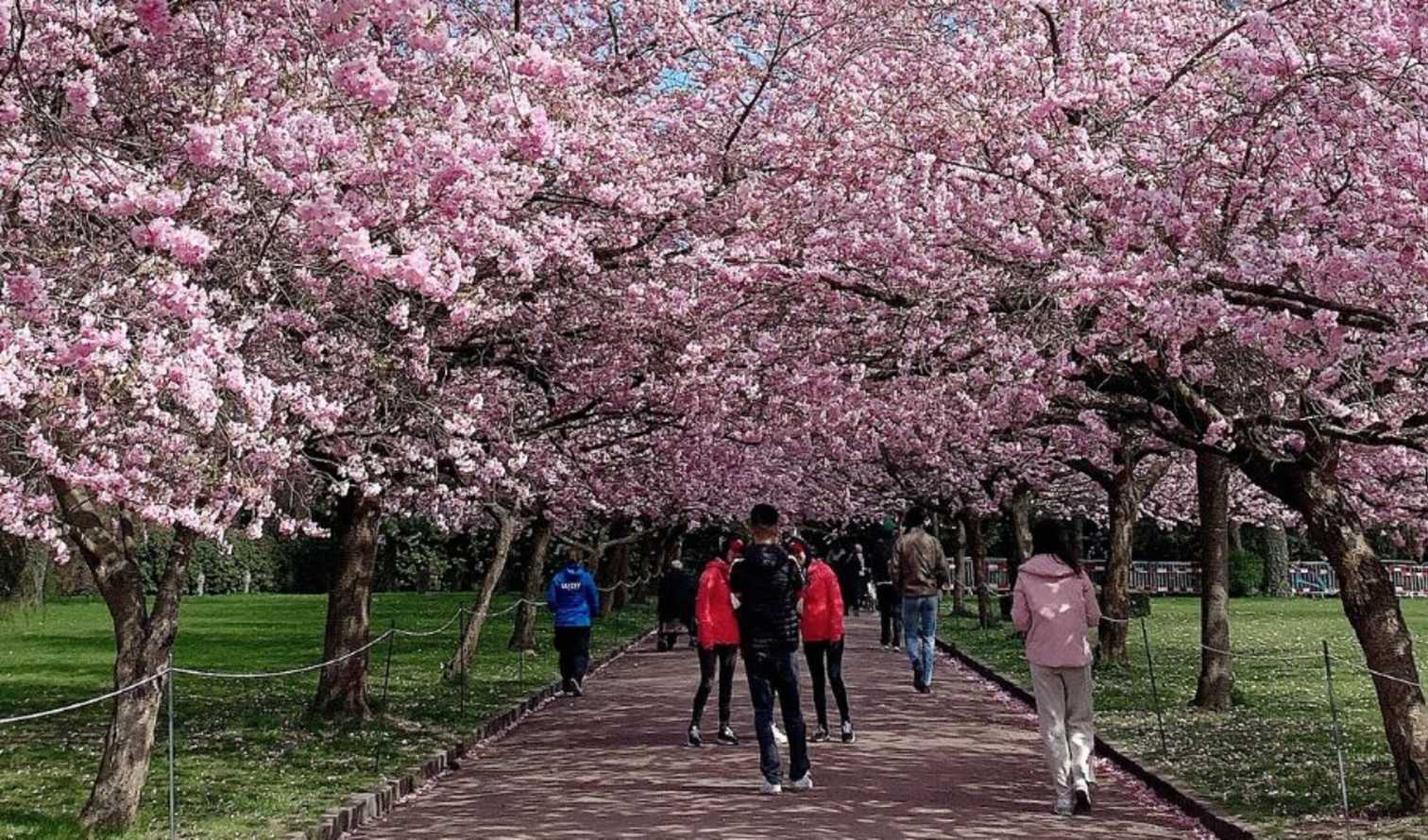 Big Ben to Tower Bridge
