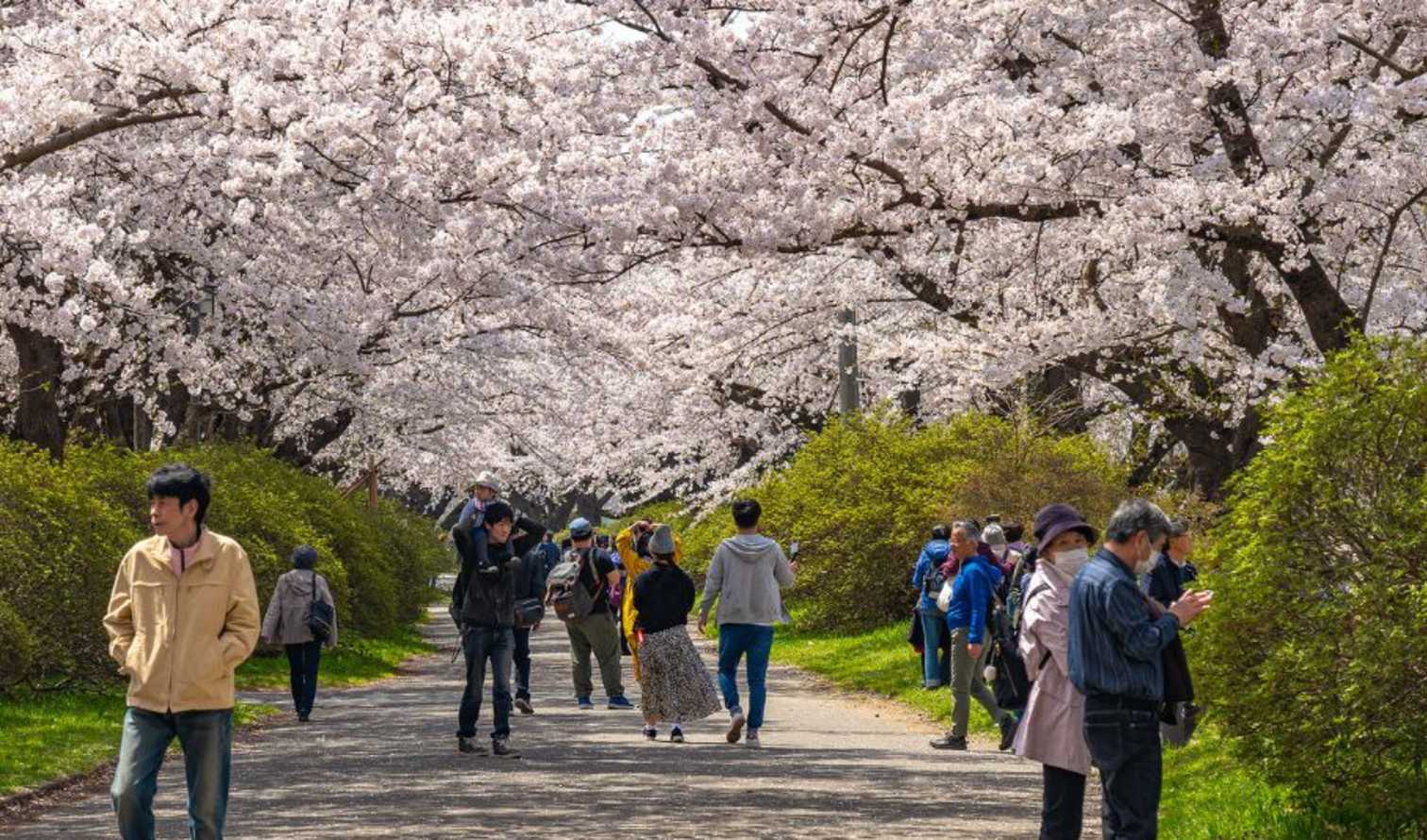 Big Ben to Tower Bridge
