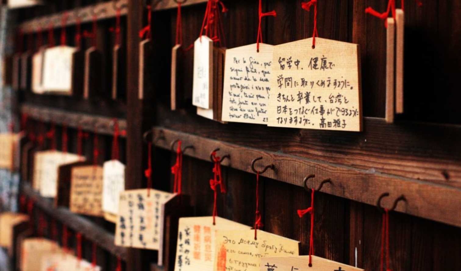 City Unscripted experience image 7