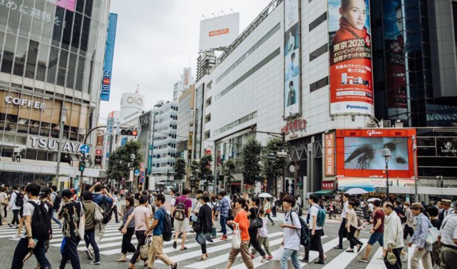 City Unscripted experience image 7