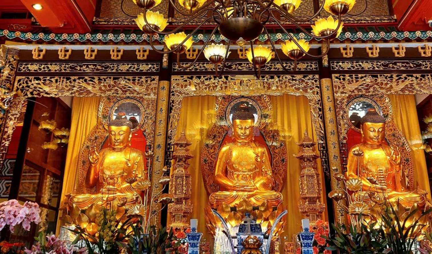 City Unscripted experience image 6