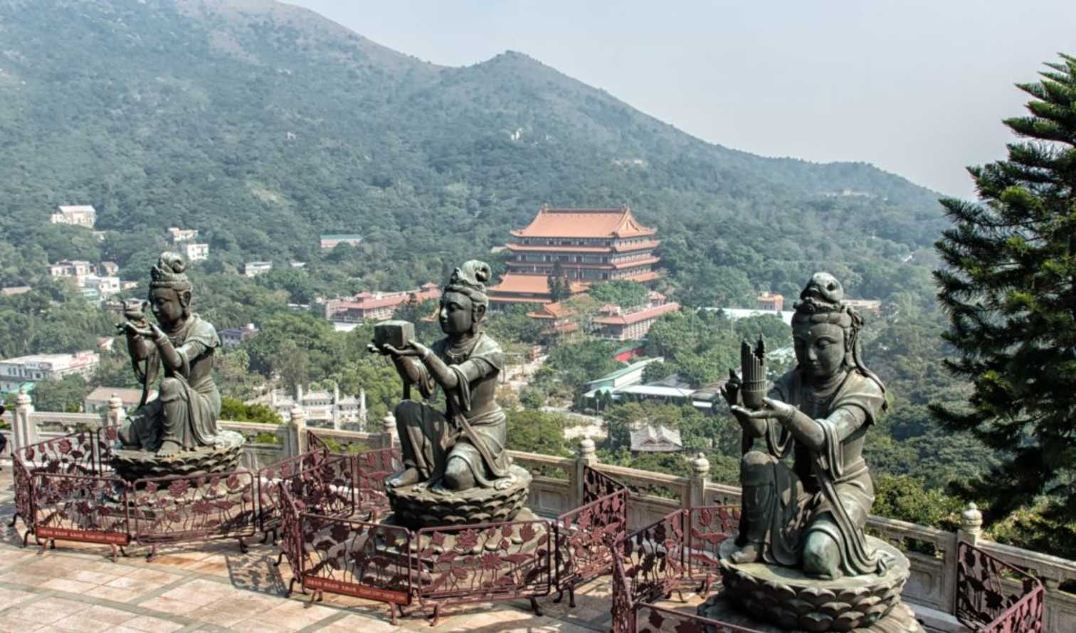 City Unscripted experience image 7