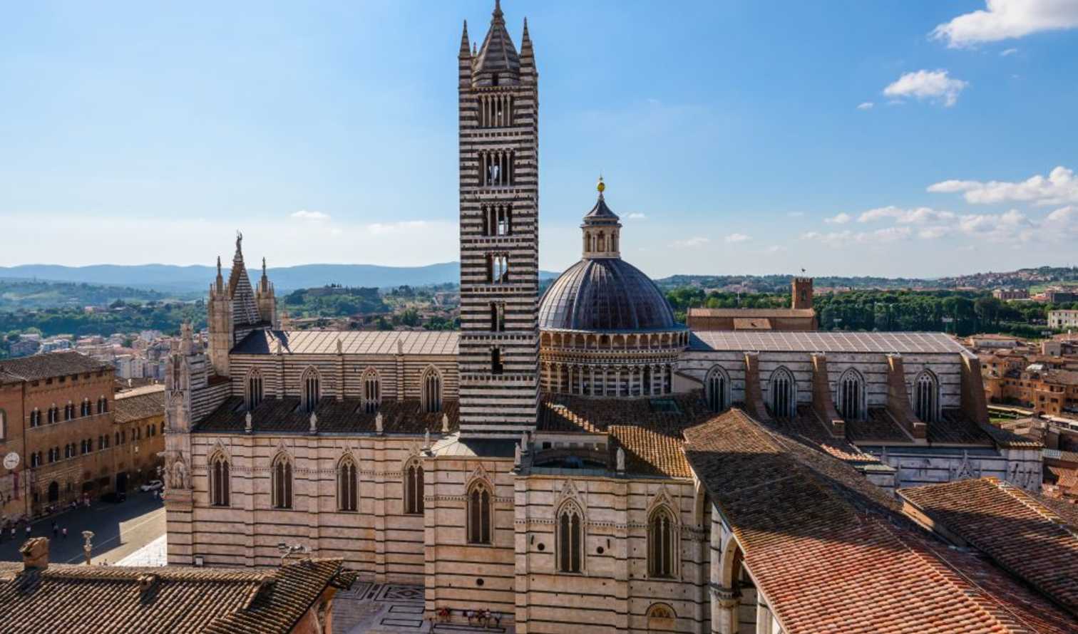 City Unscripted experience image 7