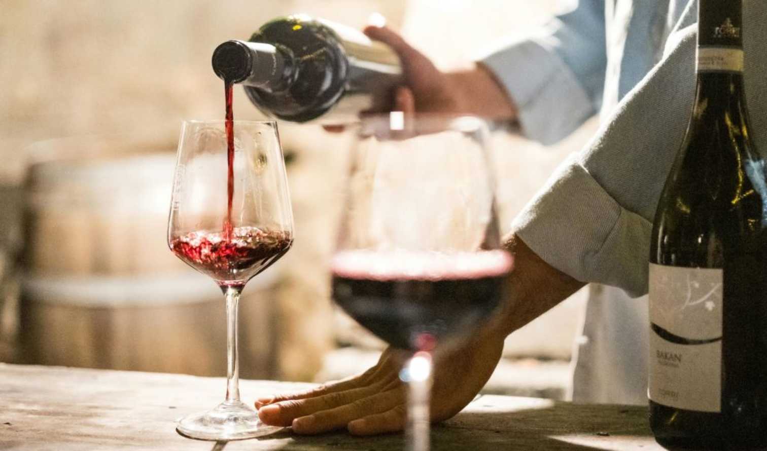 bottle,alcoholic drink,alcohol,drinkware,barware,wine,glass bottle,liquid,wine bottle,dessert wine,red wine,liquor,stemware,wine glass,glass,champagne glass,wine tasting