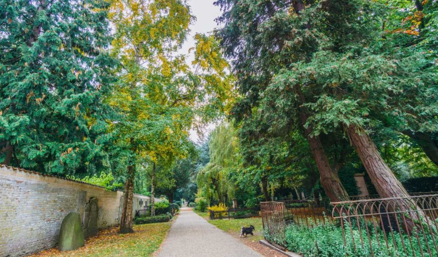 City Unscripted experience hero image 5