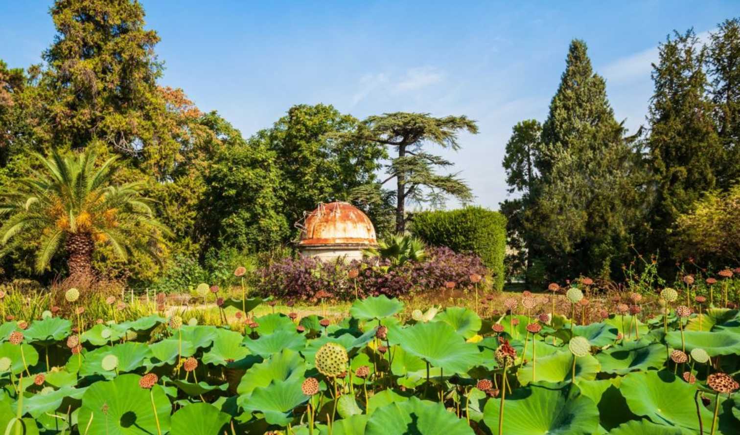 City Unscripted experience image 7