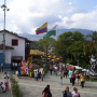Your Medellín Kickstart: A Personalized 2-Hour Experience