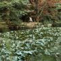 Sapporo Your Way: A Personalized 2-Hour Experience